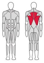 Рычажная тяга Fitex FTX-6214  Рычажная тяга Fitex FTX-6214