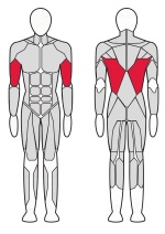 4-х Позиционная мультистанция Fitex FTX-7503 4-х Позиционная мультистанция Fitex FTX-7503