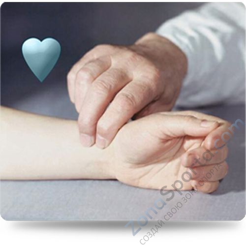 Беговая дорожка Vision T80 Touch Беговая дорожка Vision T80 Touch