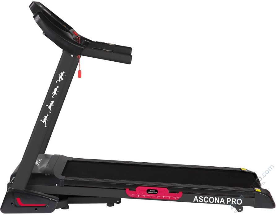 Беговая дорожка DFC Ascona T595 Беговая дорожка DFC Ascona T595