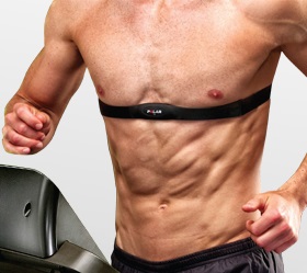 Беговая дорожка Horizon T-PRO Беговая дорожка Horizon T-PRO