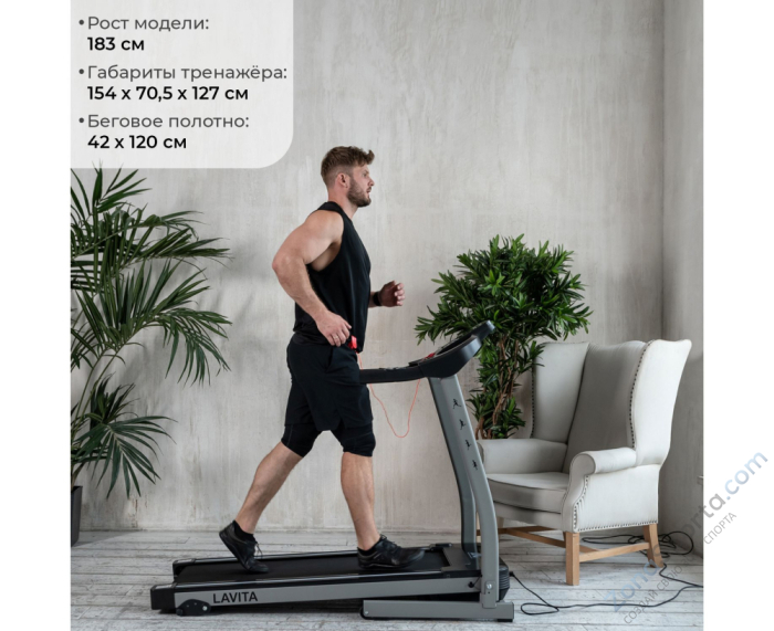Беговая дорожка DFC Lavita T350 Беговая дорожка DFC Lavita T350
