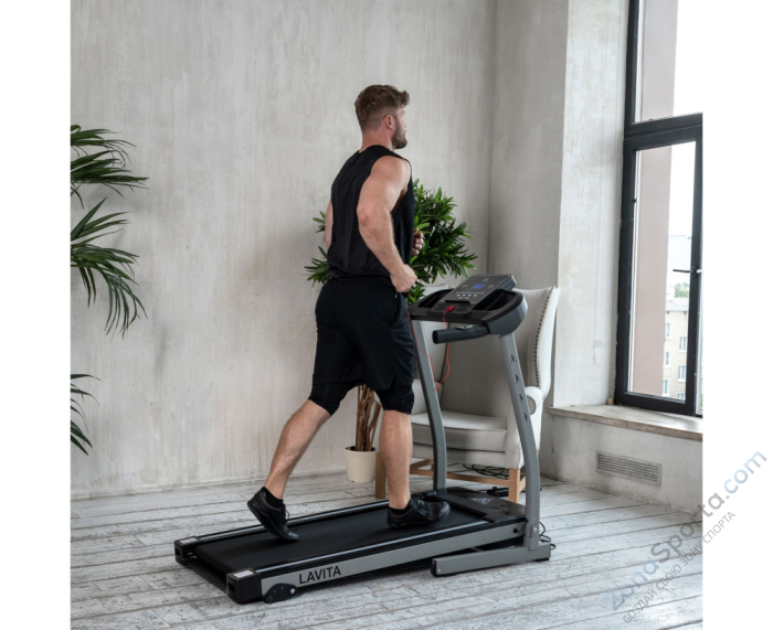 Беговая дорожка DFC Lavita T350 Беговая дорожка DFC Lavita T350