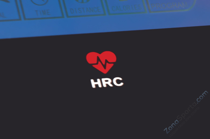 Беговая дорожка Titanium Masters Physiotech TGF Беговая дорожка Titanium Masters Physiotech TGF