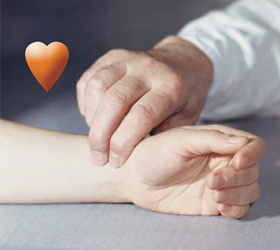 Беговая дорожка Oxygen Tesla TFT HRC Беговая дорожка Oxygen Tesla TFT HRC