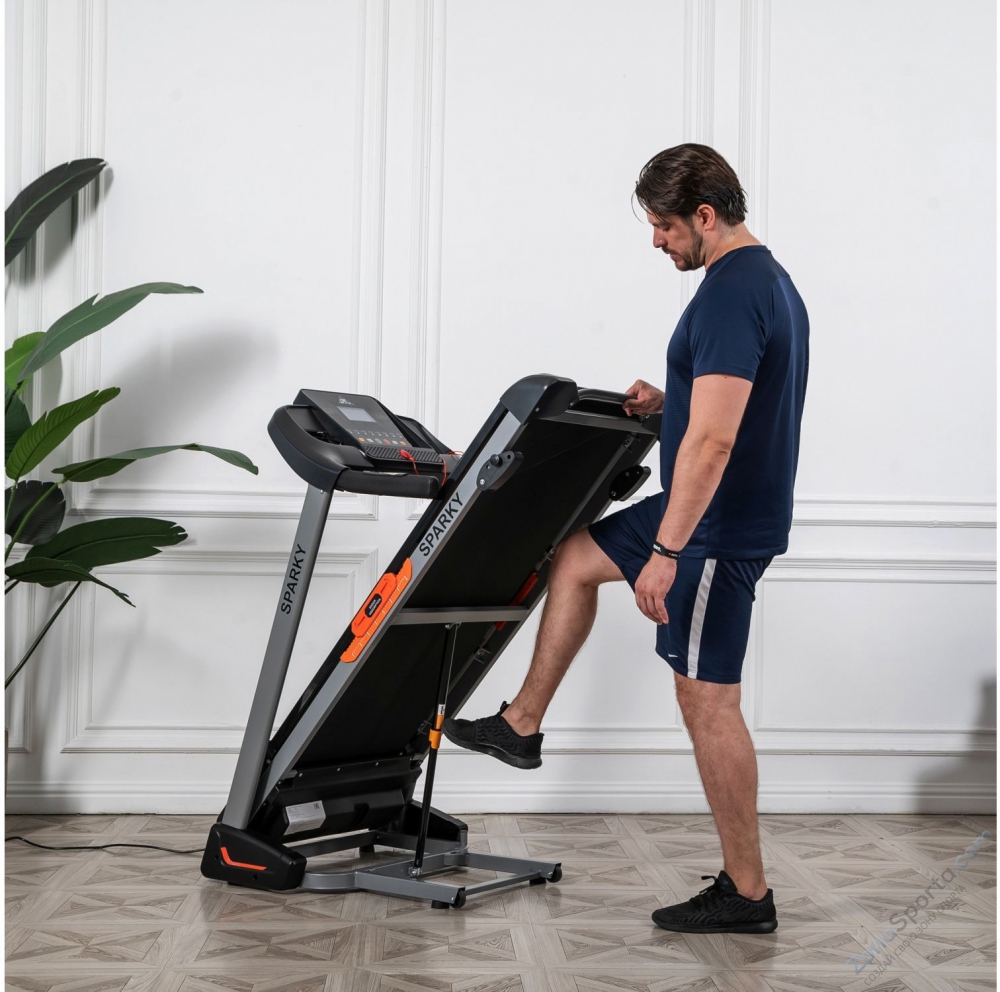 Беговая дорожка DFC Sparky T590 Беговая дорожка DFC Sparky T590