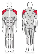 Дельта машина Fitex Pro FTX-61F03 Дельта машина Fitex Pro FTX-61F03