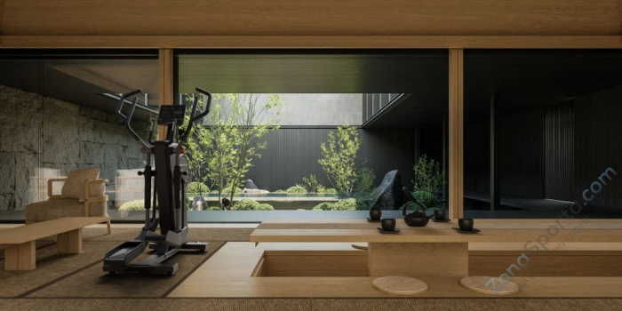 Профессиональный эллиптический тренажер Bionique F-Drive G50