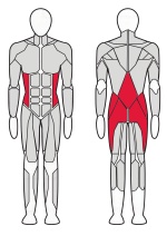Гиперэкстензия угловая Fitex Pro Optima FTX-61A43 Гиперэкстензия угловая Fitex Pro Optima FTX-61A43