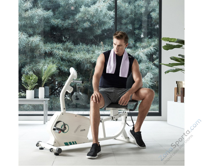 Горизонтальный велотренажер DFC Lexpa Горизонтальный велотренажер DFC Lexpa