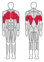 Гравитрон Fitex FTX-6216 Гравитрон Fitex FTX-6216