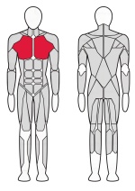 Грудь машина Fitex Pro FTX-61F07 Грудь машина Fitex Pro FTX-61F07