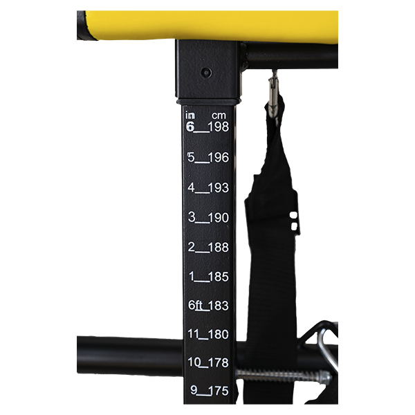 Инверсионный стол Scholle 02Q