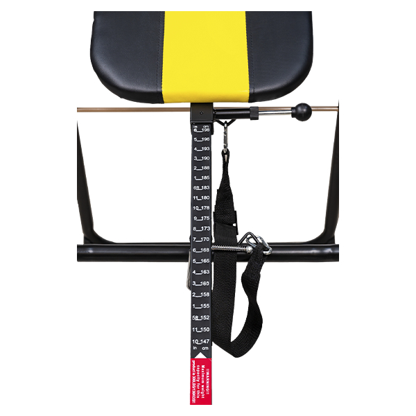 Инверсионный стол Scholle 02Q