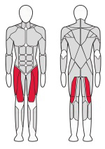 Комбинированный разгибатель-сгибатель бедра сидя Fitex Pro FTX-FF87 Комбинированный разгибатель-сгибатель бедра сидя Fitex Pro FTX-FF87