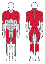 Машина Cмита Fitex Pro FTX-FB63 Машина Cмита Fitex Pro FTX-FB63