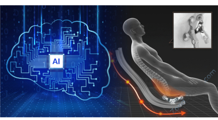 Массажное кресло Bodo Norton Black-Brown Массажное кресло Bodo Norton Black-Brown