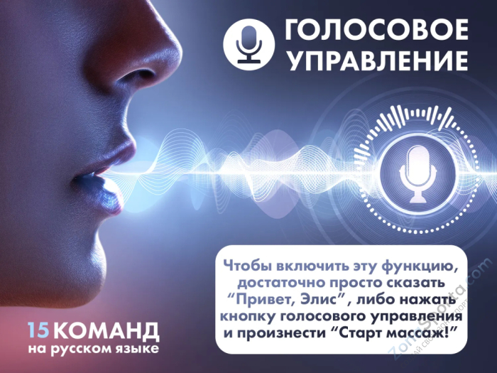 Массажное кресло Fujimo Flexor Business Edition Grey Массажное кресло Fujimo Flexor Business Edition Grey