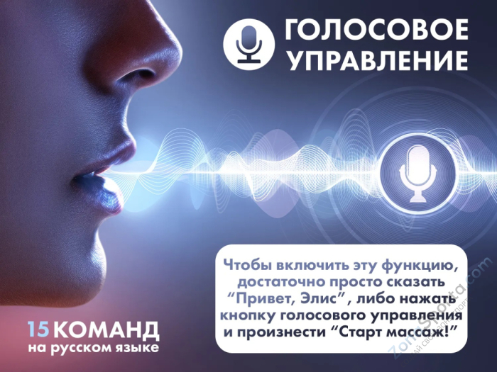 Массажное кресло Fujimo Flexor F500 Brown Массажное кресло Fujimo Flexor F500 Brown