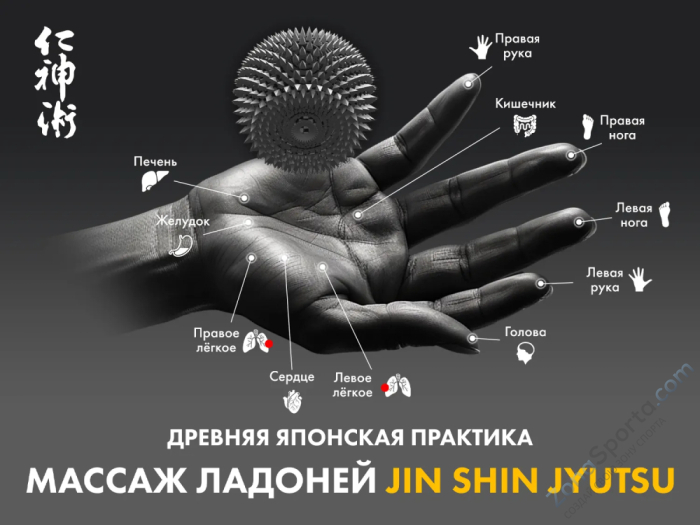 Массажное кресло Fujimo Guru2 F800 Коричневый Массажное кресло Fujimo Guru2 F800 Коричневый