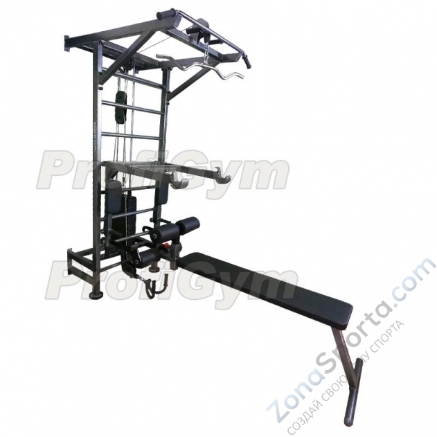 Многофункциональный тренажёрный комплекс ProfiGym на базе шведской стенки Многофункциональный тренажёрный комплекс ProfiGym на базе шведской стенки
