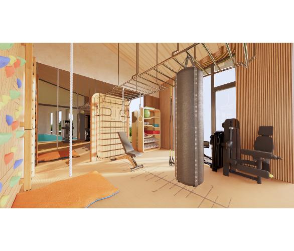 Многофункциональный комплекс с элементами отделки частных яхт и рукоходом шведская стенка Desire Regatta Sky Многофункциональный комплекс с элементами отделки частных яхт и рукоходом шведская стенка Desire Regatta Sky