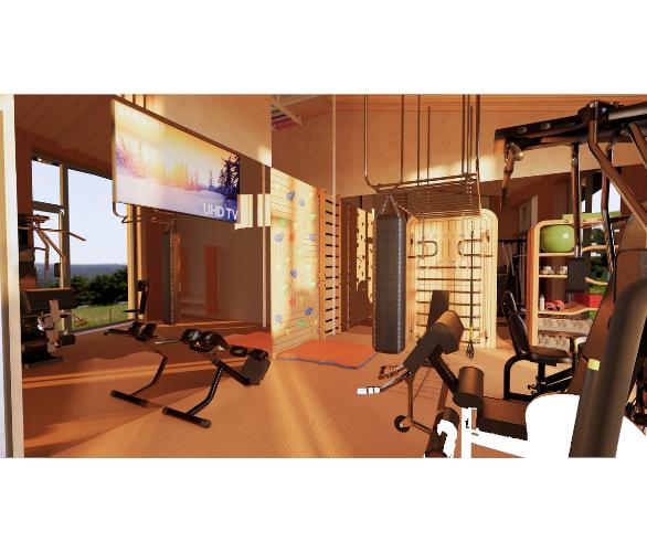 Многофункциональный комплекс с элементами отделки частных яхт и рукоходом шведская стенка Desire Regatta Sky Многофункциональный комплекс с элементами отделки частных яхт и рукоходом шведская стенка Desire Regatta Sky