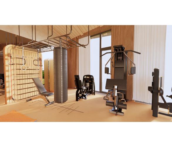 Многофункциональный комплекс с элементами отделки частных яхт и рукоходом шведская стенка Desire Regatta Sky Многофункциональный комплекс с элементами отделки частных яхт и рукоходом шведская стенка Desire Regatta Sky