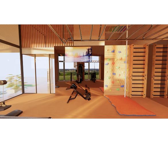 Многофункциональный комплекс с элементами отделки частных яхт и рукоходом шведская стенка Desire Regatta Sky Многофункциональный комплекс с элементами отделки частных яхт и рукоходом шведская стенка Desire Regatta Sky