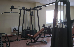 Мультистанция 5-ти позиционная Insight Fitness TB82