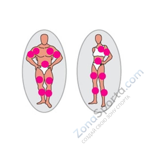 Мультистанция HouseFit HG-2006 Мультистанция HouseFit HG-2006