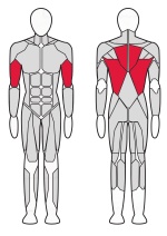 Нижняя тяга Fitex Pro FTX-FB33 Нижняя тяга Fitex Pro FTX-FB33