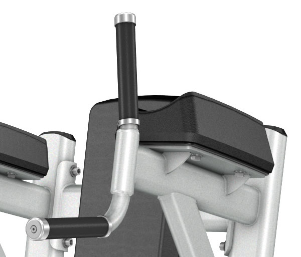 Подъем коленей Precor Discovery Line DBR 702 Подъем коленей Precor Discovery Line DBR 702