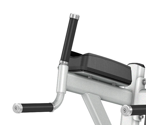 Подъем коленей Precor Discovery Line DBR 702 Подъем коленей Precor Discovery Line DBR 702