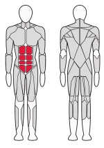 Пресс машина (нижний пресс) Fitex FTX-6218A Пресс машина (нижний пресс) Fitex FTX-6218A