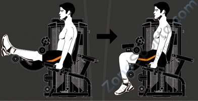 Разгибание ног сидя Steel Flex Hope HLE200B Разгибание ног сидя Steel Flex Hope HLE200B