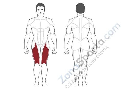 Разгибание ног сидя Steel Flex Hope HLE200B Разгибание ног сидя Steel Flex Hope HLE200B