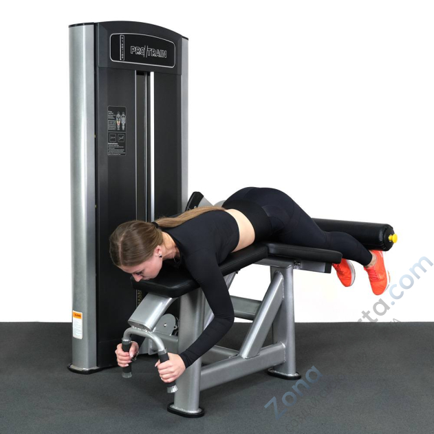 Сгибание ног лежа Protrain 61A26-80