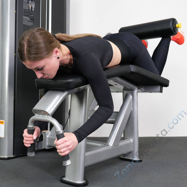 Сгибание ног лежа Protrain 61A26-80