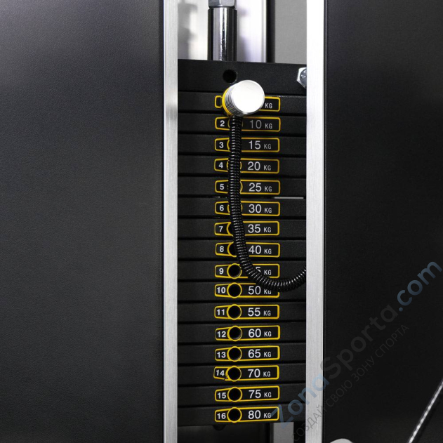 Сгибание ног лежа Protrain 61A26-80