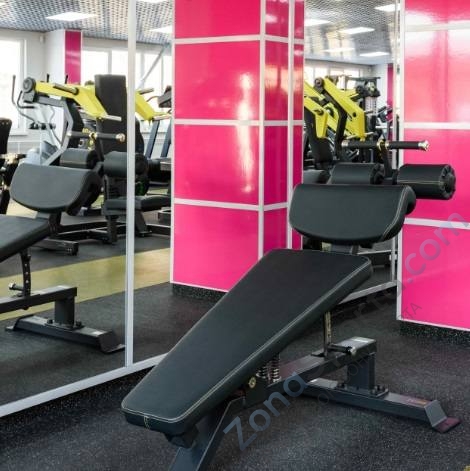 Скамья для пресса регулируемая (Adjustable Decline Bench) Скамья для пресса регулируемая (Adjustable Decline Bench)