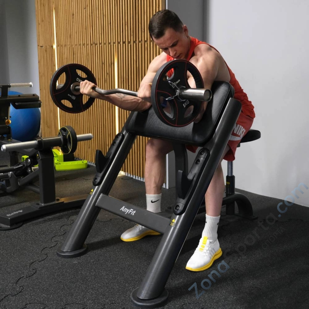 Скамья Скотта AnyFit PEB109 Скамья Скотта AnyFit PEB109