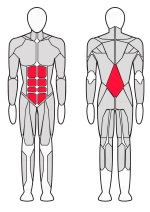 Скамья для пресса Comdi V-Sport ST004 Скамья для пресса Comdi V-Sport ST004