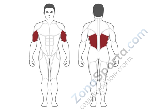 Тяга сверху Steel Flex Hope HLM300 Тяга сверху Steel Flex Hope HLM300
