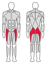 Тренажер для отводящих мышц бедра Fitex Pro FTX-7323 Тренажер для отводящих мышц бедра Fitex Pro FTX-7323