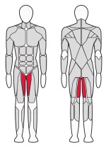 Тренажер для приводящих мышц бедра Fitex FTX-61F22 Тренажер для приводящих мышц бедра Fitex FTX-61F22