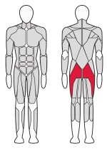 Тренажер для ягодичных мышц (радиальный) Fitex Pro FTX-7321 Тренажер для ягодичных мышц (радиальный) Fitex Pro FTX-7321