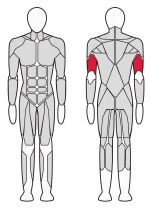 Трицепс машина (брусья) Fitex FTX-6211