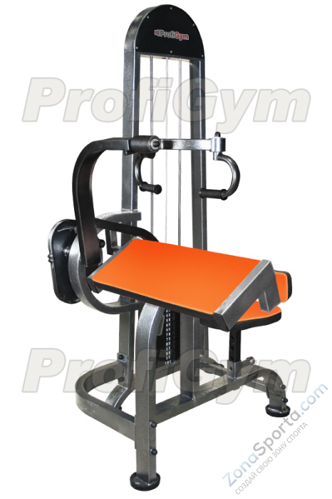 Трицепс машина ProfiGym ТГ-0070-C (60 КГ)