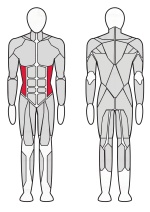 Твистер машина Fitex FTX-61F19 Твистер машина Fitex FTX-61F19